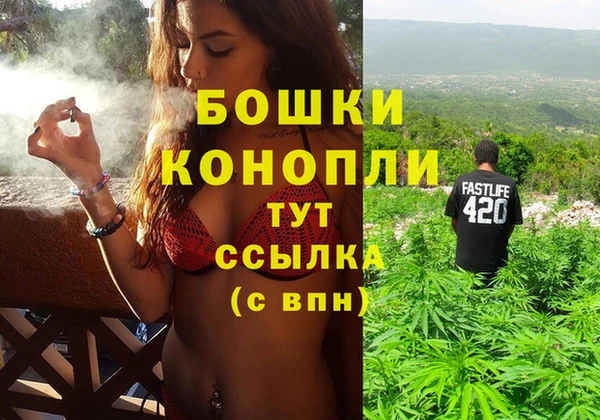 тгк Аркадак