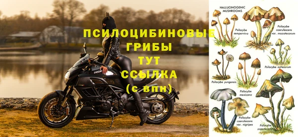 MESCALINE Алзамай