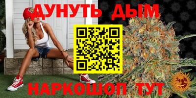 a pvp Тара