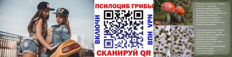 Псилоцибиновые грибы Psilocybine cubensis Сосновый Бор