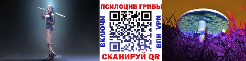 Псилоцибиновые грибы ЛСД  Сосновый Бор 