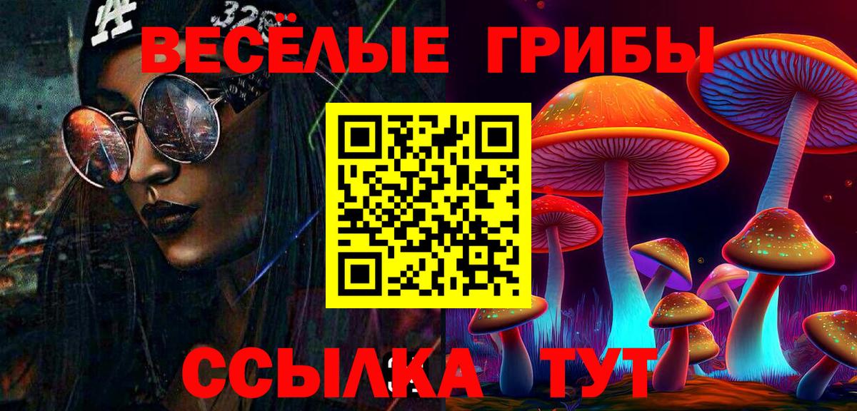 Галлюциногенные грибы Psilocybine cubensis Сосновый Бор